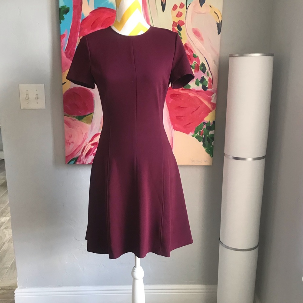 Theory A Line Dress Size 2